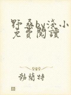 野桑by浅小说免费阅读