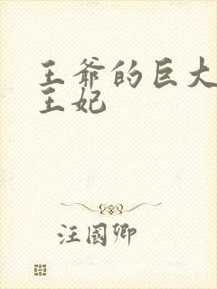 王爷的巨大进入王妃