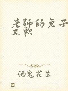 老师的兔子又大又软