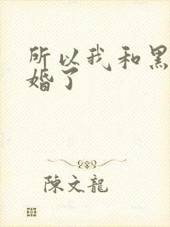 所以我和黑粉结婚了