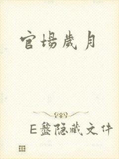 官场岁月