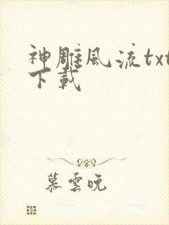 神雕风流txt下载