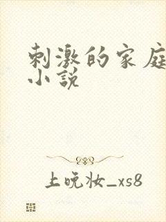 刺激的家庭乱仑小说