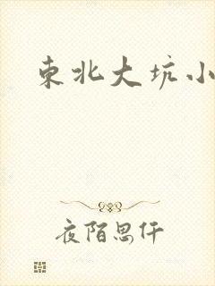 东北大坑小说