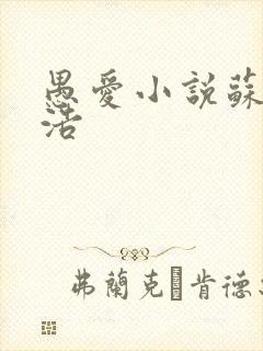 愚爱小说苏倩孙浩