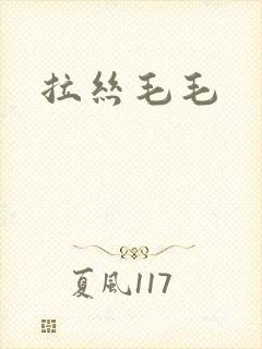 拉丝毛毛