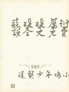 苏暖暖厉衍琛小说全文免费阅读