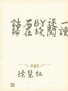 钻石BY逐一而归在线阅读