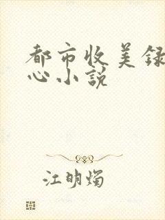 都市收美录宁素心小说