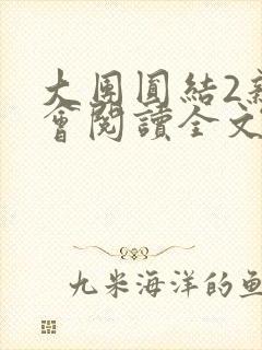 大团圆结2亲情会阅读全文