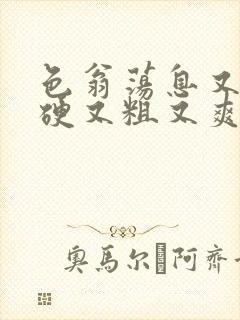 色翁荡息又大又硬又粗又爽电影