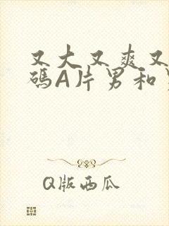 又大又爽又黄无码A片男和男