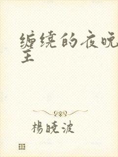 缠绕的夜晚双男主