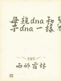 母亲dna和儿子dna一样不