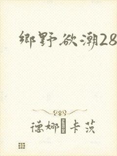 乡野欲潮28章