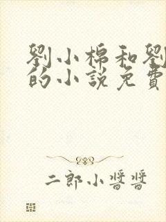 刘小棉和刘易文的小说免费阅读