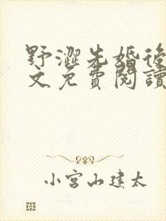 野涩先婚后爱全文免费阅读笔趣阁