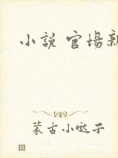 小说 官场新贵