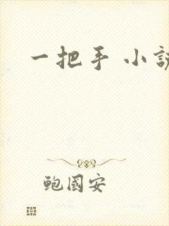 一把手 小说