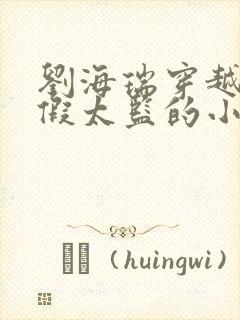 刘海瑞穿越后宫假太监的小说