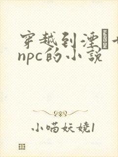 穿越到湮婸世界npc的小说