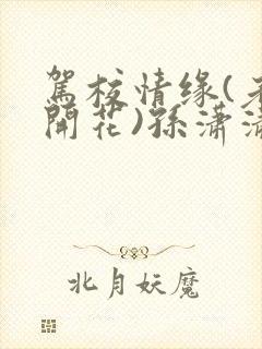 驾校情缘(老树开花)孙潇潇笔趣阁