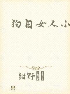 狗日女人小说