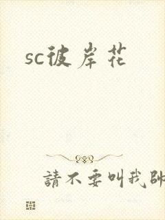 sc彼岸花