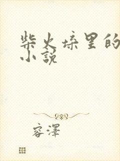 柴火垛里的疯狂小说