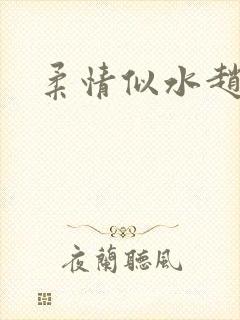 柔情似水赵雅儿