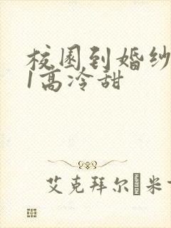 校园到婚纱1V1高冷甜