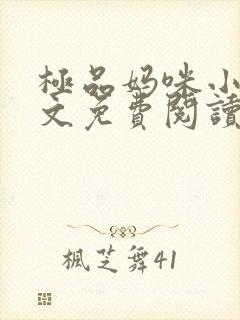 极品妈咪小说全文免费阅读