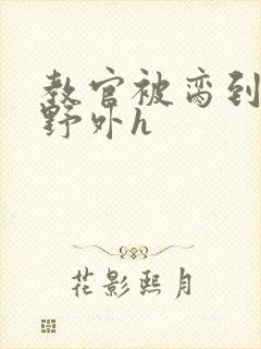 教官被脔到高潮野外h