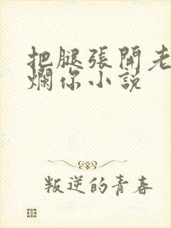 把腿张开老子臊烂你小说