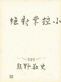 绝对掌控小说