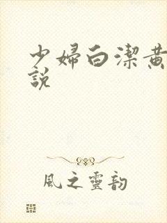 少妇白洁黄色小说