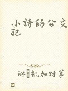 小诗的公交车日记