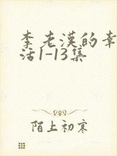 李老汉的幸福生活1-13集