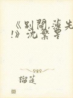 《别闹,薄先生!》沈繁星