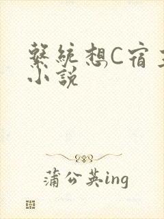 系统想C宿主的小说