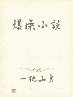 爆操小说