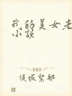 我的美女老板 小说