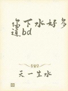 你下水好多下水道bd