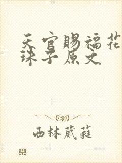天官赐福花怜塞珠子原文