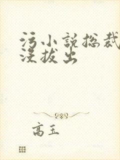 污小说总裁整夜没拔出