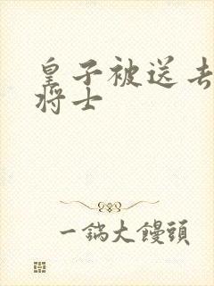 皇子被送去犒劳将士