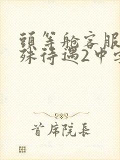 头等舱客服的特殊待遇2中字