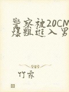 警察被20CM爆粗进入男男软件