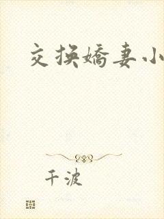 交换娇妻小说