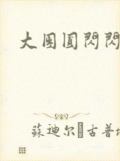 大团圆闪闪发光